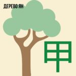 Дерево Ян