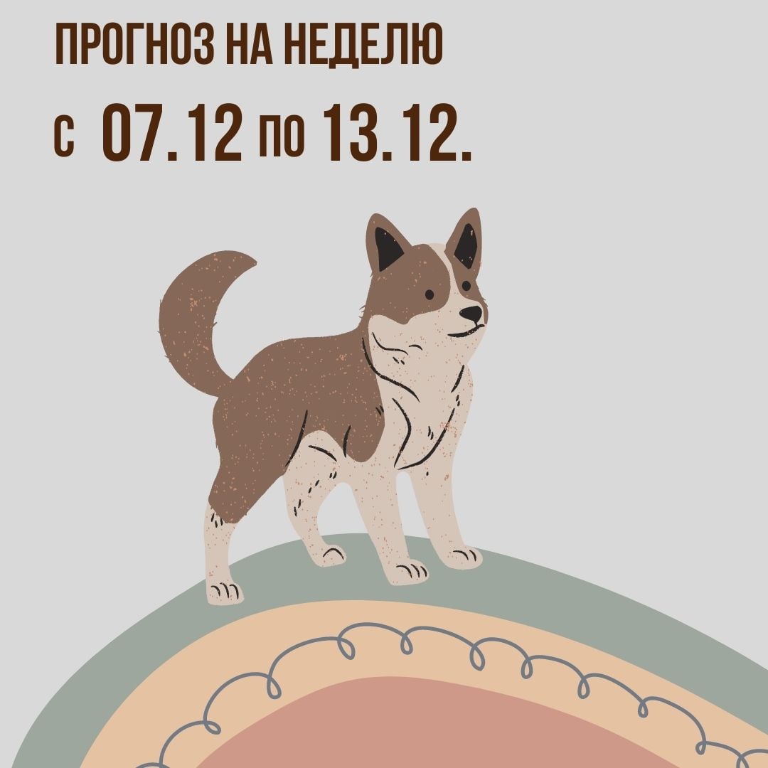 Прогноз на неделю с 07 по 13 декабря