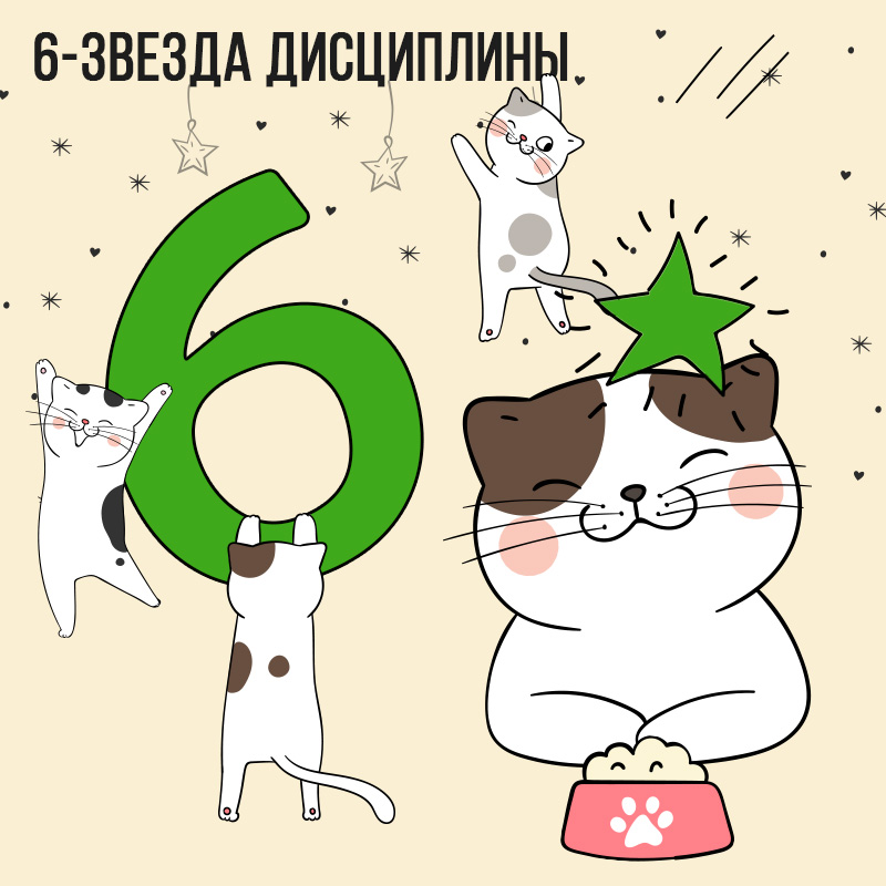 Летящая звезда 6 ( Звезда Дисциплины)