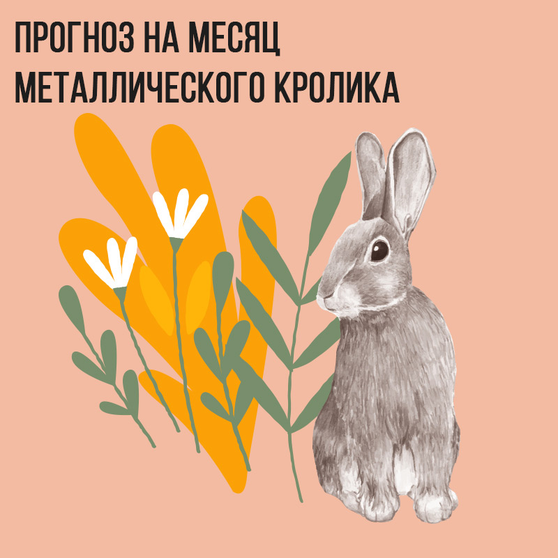 Прогноз на месяц Металлического Кролика