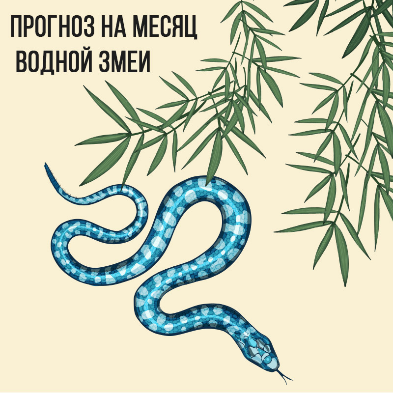 Прогноз на месяц Водной Змеи