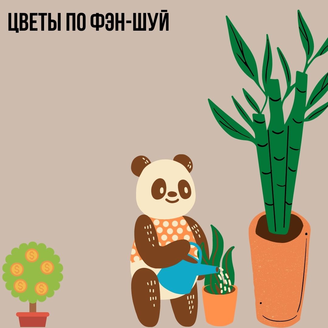 Цветы по Фэн-Шуй