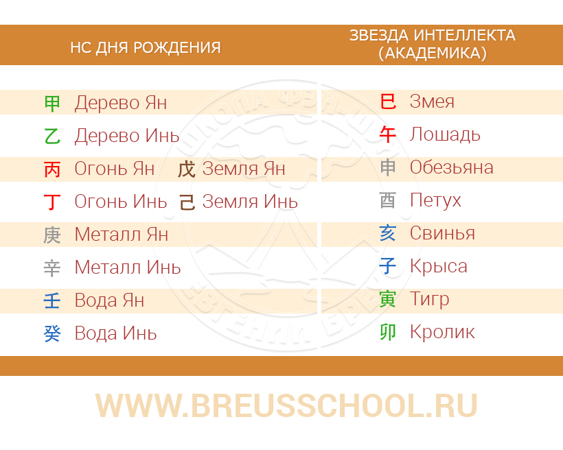 Звезда интеллекта (академика)