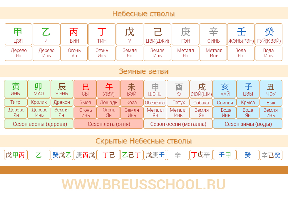 Небесные стволы и земные ветви в ба-цзы