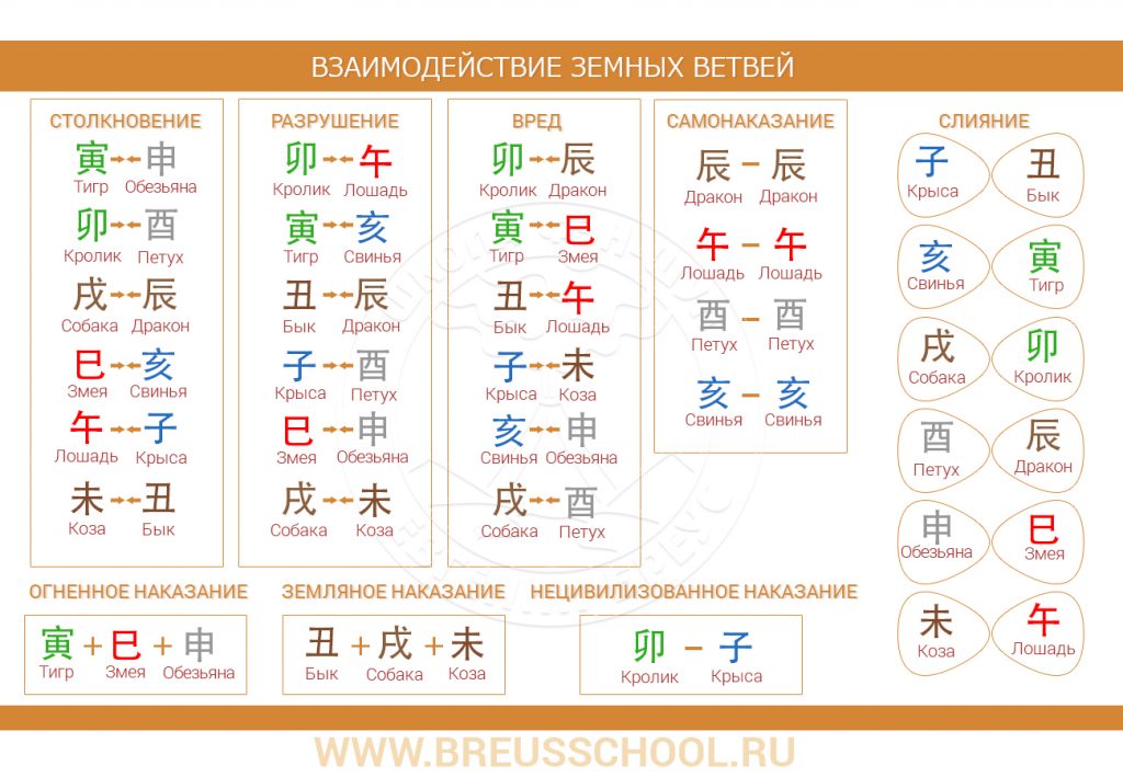 Взаимодействие земных ветвей.