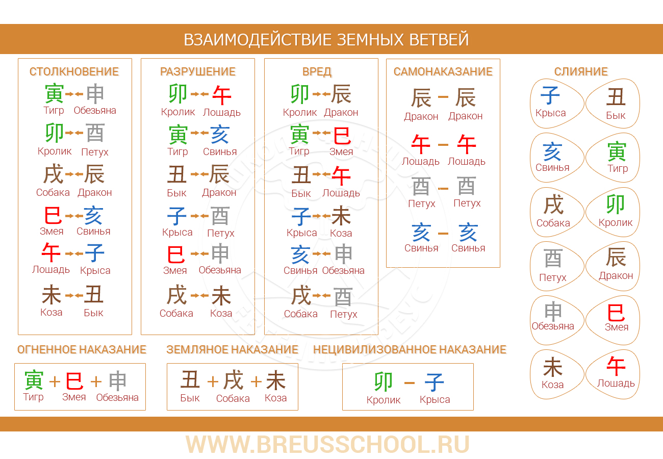 Взаимодействие земных ветвей