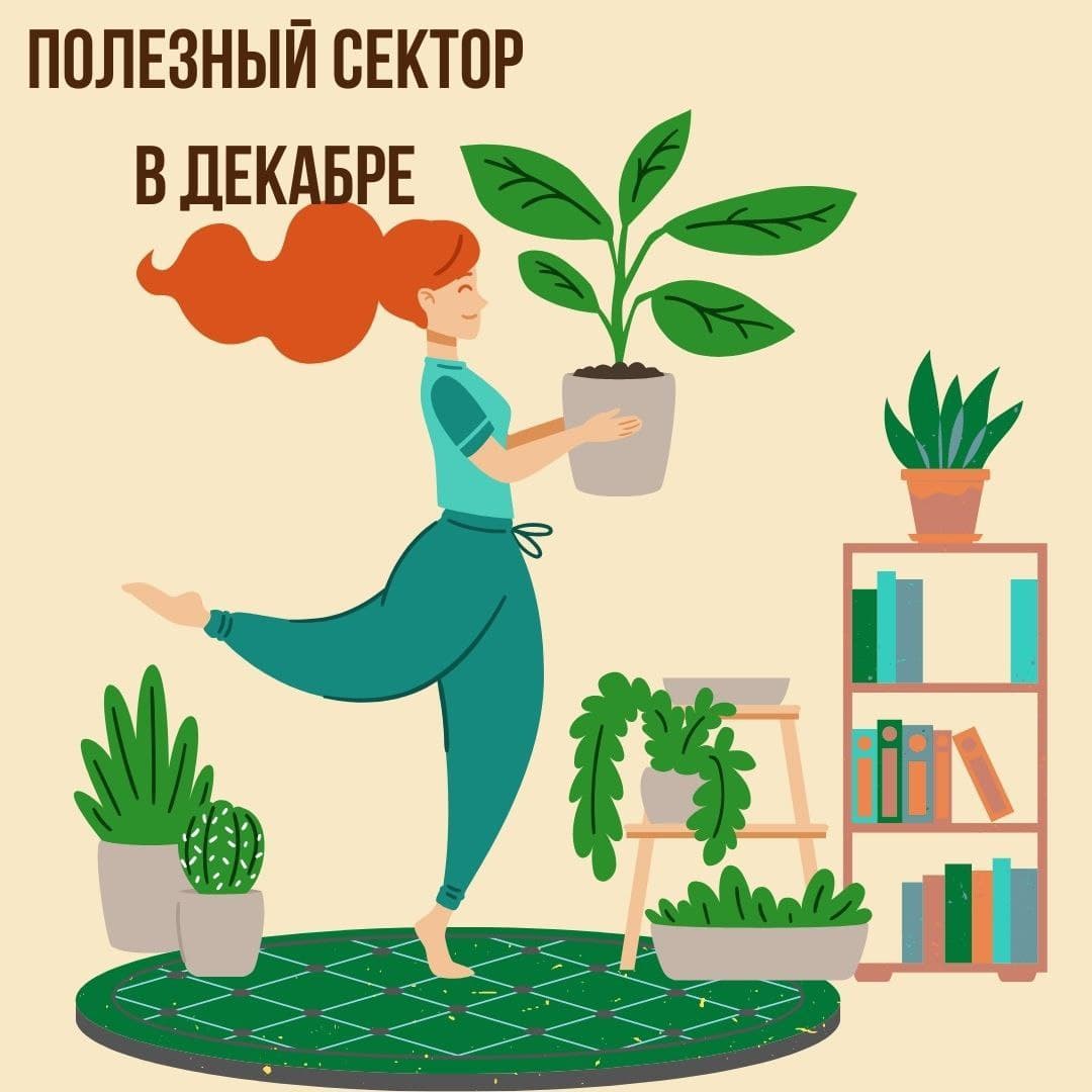Полезный сектор в Декабре