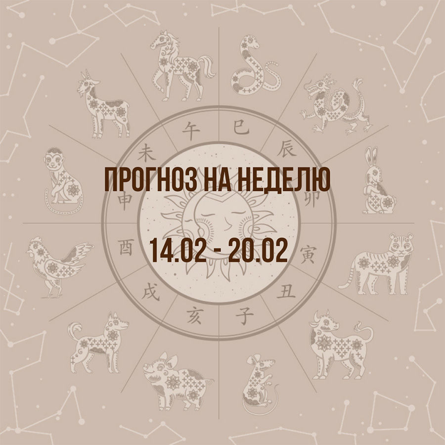 Прогноз на неделю с 14 по 20 февраля