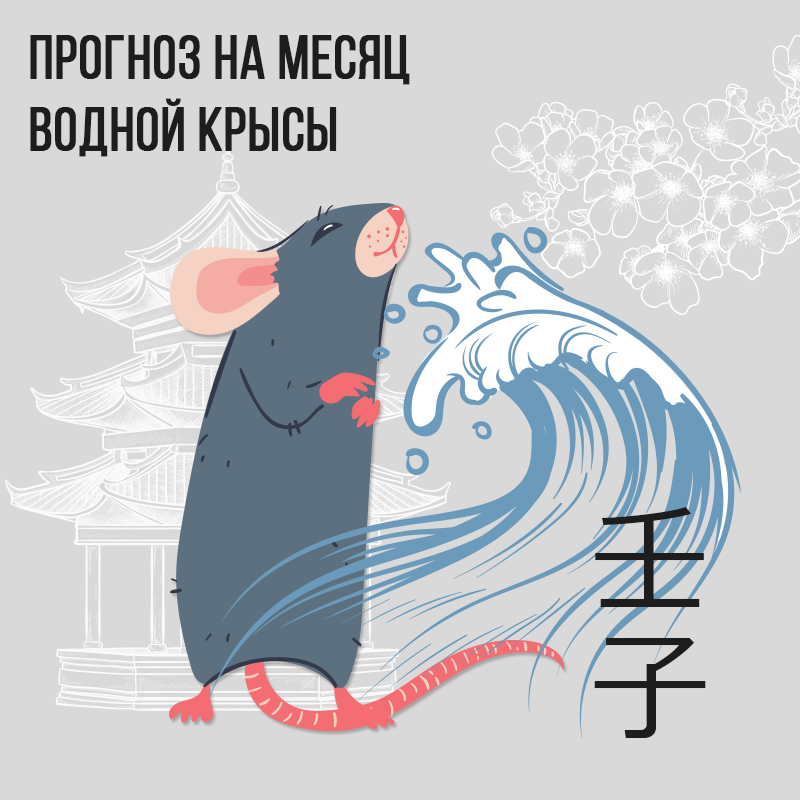 Прогноз на месяц Водной Крысы
