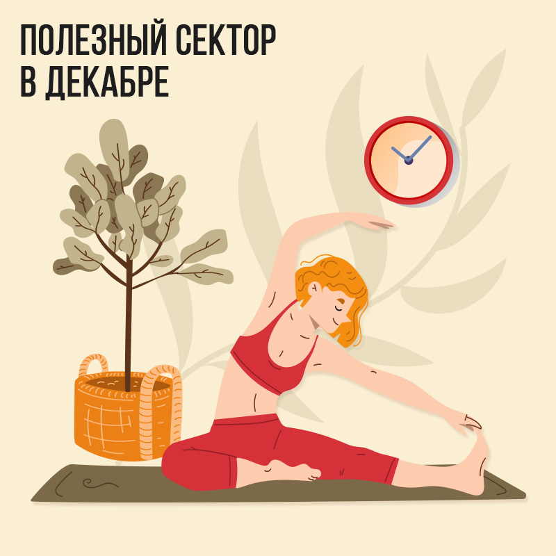 Полезный сектор в Декабре
