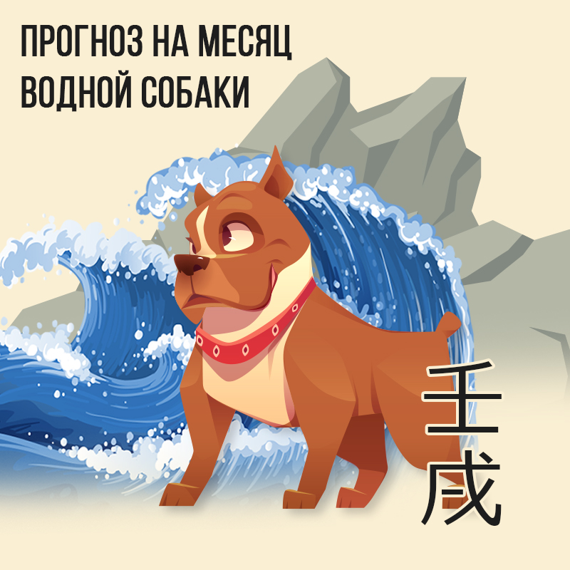 Прогноз на месяц Водной Собаки