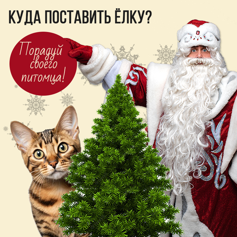 Куда поставить Ёлку 23-24г.?
