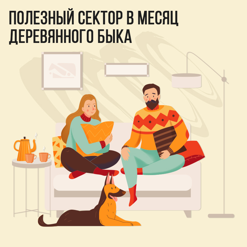 Полезный сектор в Январе (в месяц Деревянного Быка)