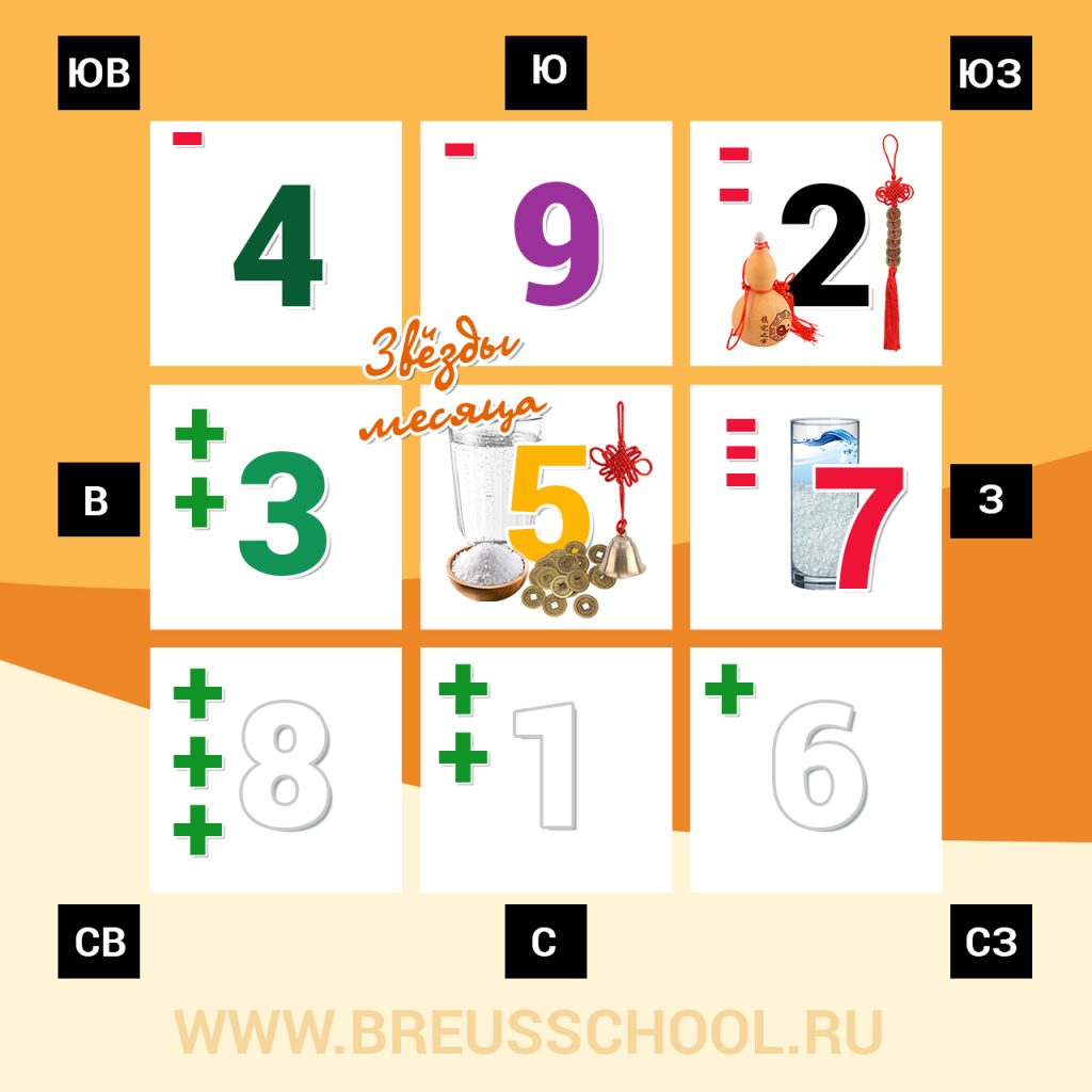 Полезный сектор в Феврале (в месяц Огненного тигра)