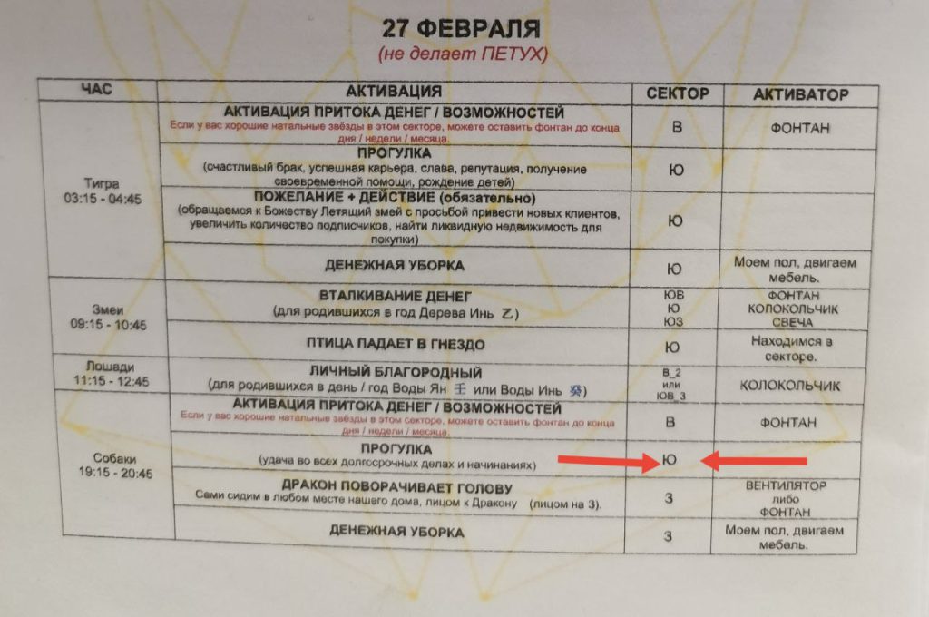 Сегодня в час Собаки прогулка на ЗАПАД, а не на Юг.