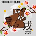 Прогноз для Собаки на 2025