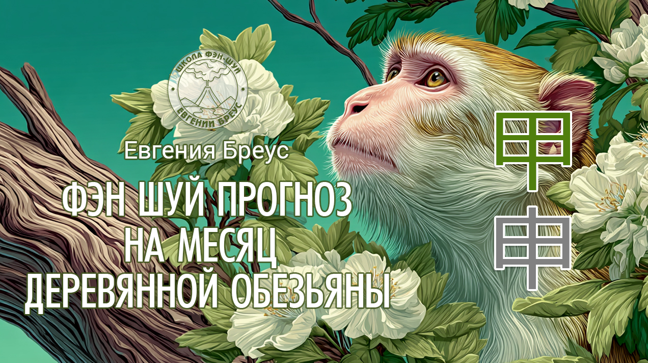 Фэн Шуй прогноз на месяц Деревянной Обезьяны. Видео.