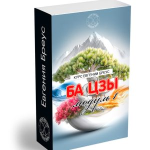 Ба Цзы. (Модуль 1)