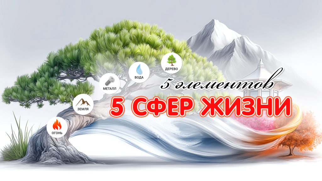 Урок 3. Пять сфер жизни